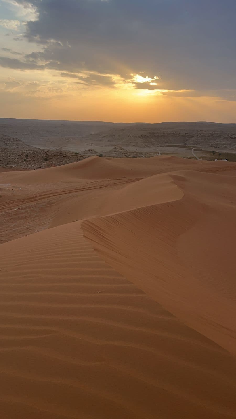 جولة سفاري في الرياض